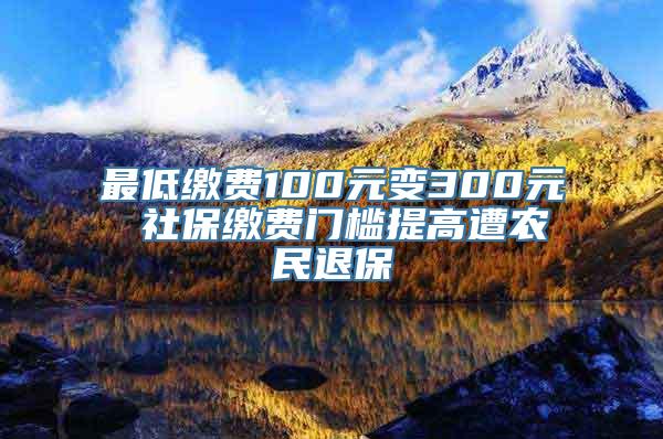 最低缴费100元变300元 社保缴费门槛提高遭农民退保