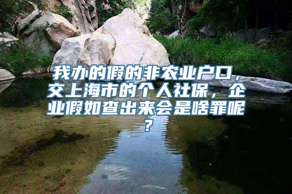 我办的假的非农业户口，交上海市的个人社保，企业假如查出来会是啥罪呢？