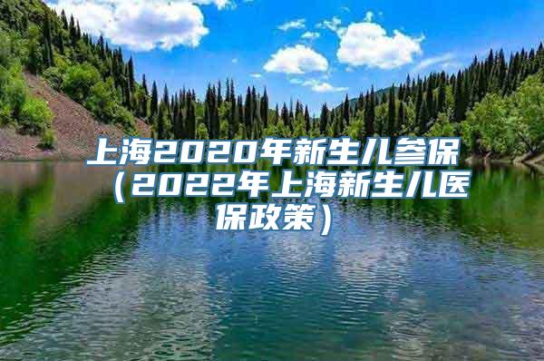 上海2020年新生儿参保（2022年上海新生儿医保政策）