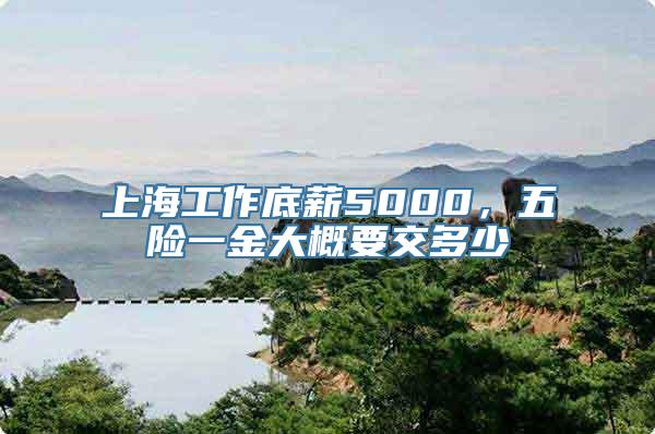 上海工作底薪5000，五险一金大概要交多少