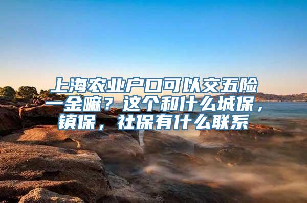 上海农业户口可以交五险一金嘛？这个和什么城保，镇保，社保有什么联系