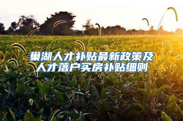 巢湖人才补贴最新政策及人才落户买房补贴细则