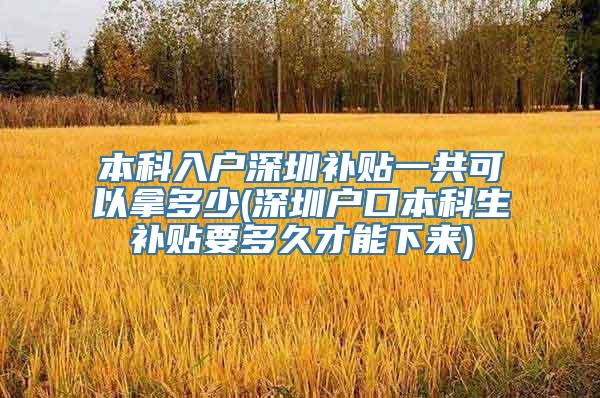 本科入户深圳补贴一共可以拿多少(深圳户口本科生补贴要多久才能下来)