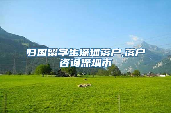 归国留学生深圳落户,落户咨询深圳市