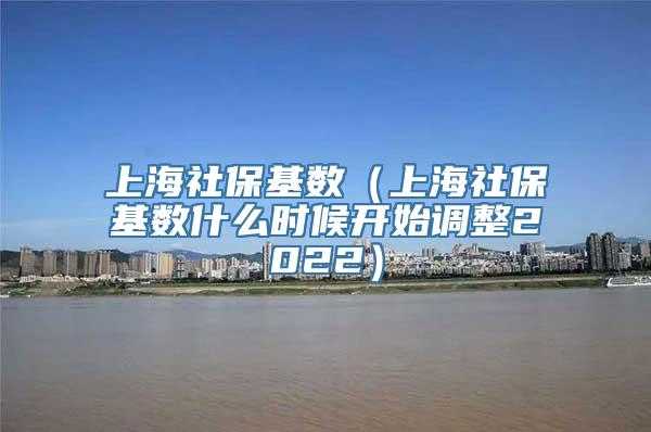 上海社保基数（上海社保基数什么时候开始调整2022）