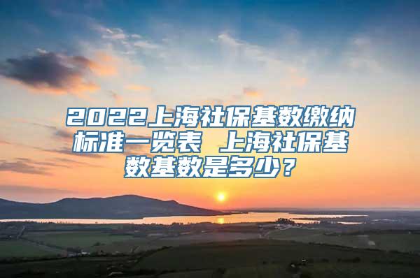 2022上海社保基数缴纳标准一览表 上海社保基数基数是多少？