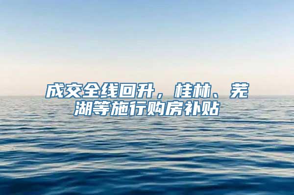 成交全线回升，桂林、芜湖等施行购房补贴