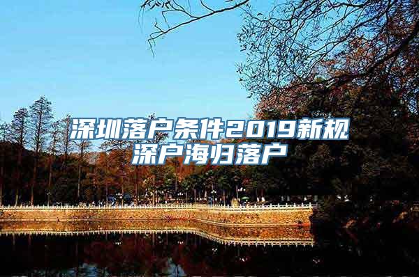 深圳落户条件2019新规深户海归落户