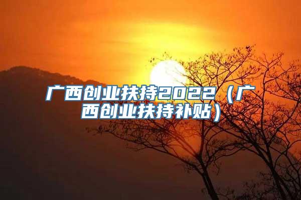 广西创业扶持2022（广西创业扶持补贴）