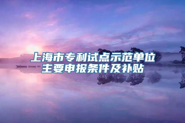 上海市专利试点示范单位主要申报条件及补贴