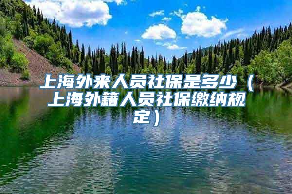 上海外来人员社保是多少（上海外籍人员社保缴纳规定）