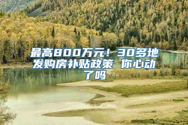 最高800万元！30多地发购房补贴政策 你心动了吗