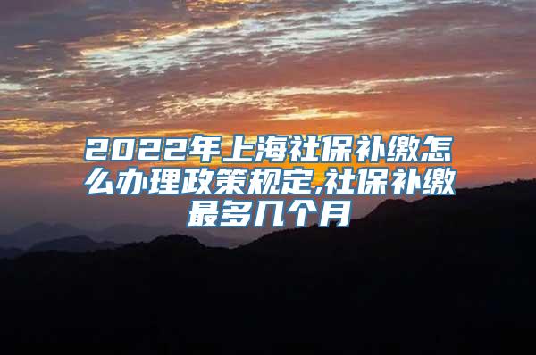 2022年上海社保补缴怎么办理政策规定,社保补缴最多几个月