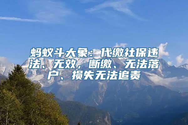 蚂蚁斗大象：代缴社保违法、无效，断缴、无法落户、损失无法追责