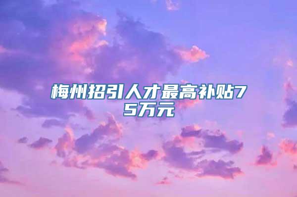 梅州招引人才最高补贴75万元