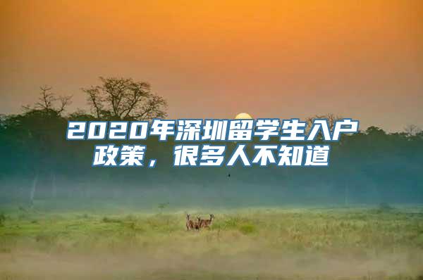 2020年深圳留学生入户政策，很多人不知道