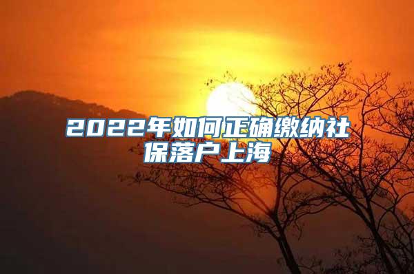 2022年如何正确缴纳社保落户上海