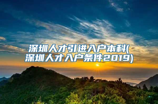 深圳人才引进入户本科(深圳人才入户条件2019)