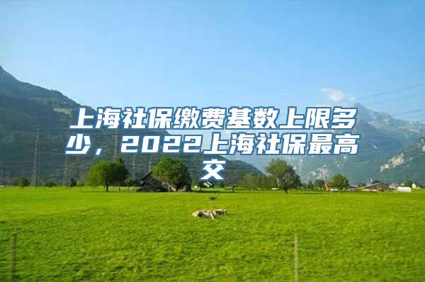 上海社保缴费基数上限多少，2022上海社保最高交