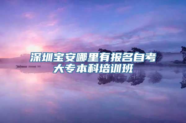 深圳宝安哪里有报名自考大专本科培训班