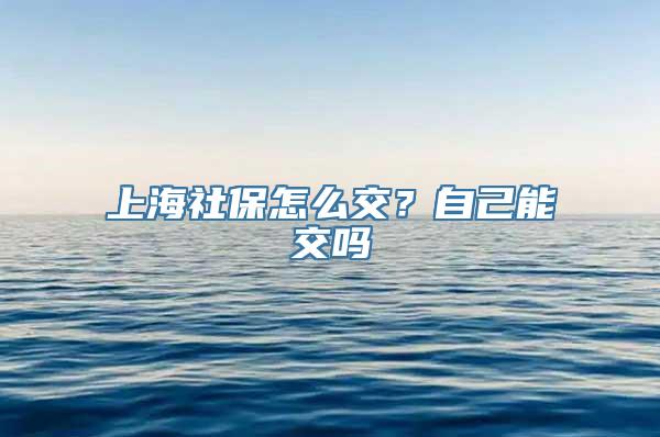 上海社保怎么交？自己能交吗