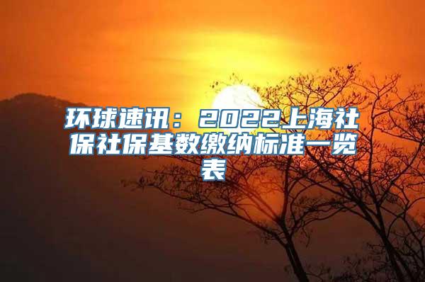 环球速讯：2022上海社保社保基数缴纳标准一览表