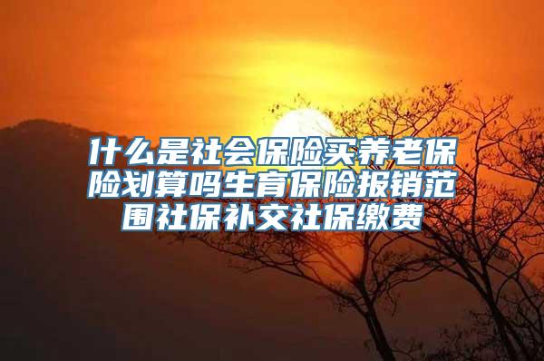 什么是社会保险买养老保险划算吗生育保险报销范围社保补交社保缴费