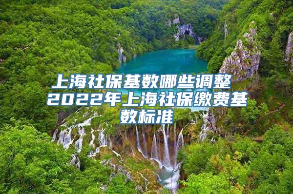 上海社保基数哪些调整 2022年上海社保缴费基数标准