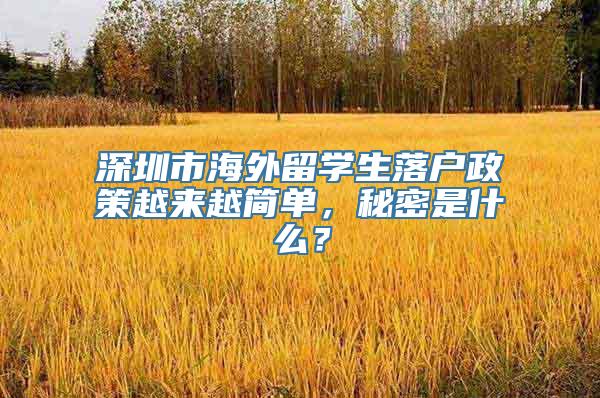 深圳市海外留学生落户政策越来越简单，秘密是什么？