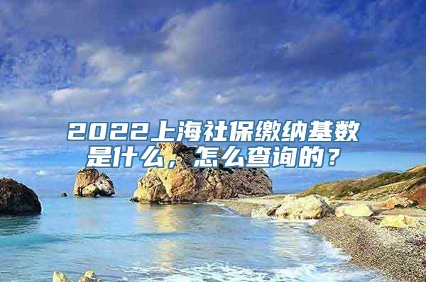 2022上海社保缴纳基数是什么，怎么查询的？