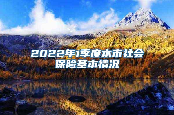 2022年1季度本市社会保险基本情况