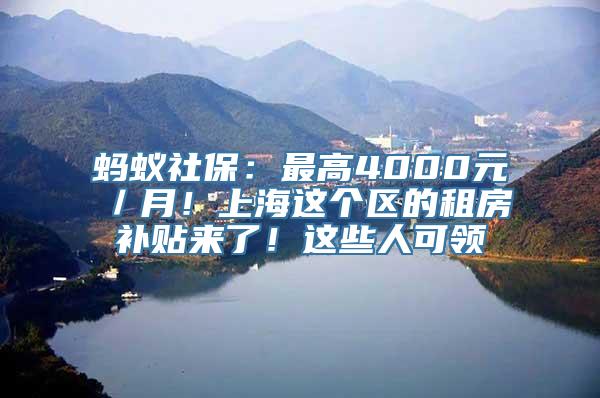 蚂蚁社保：最高4000元／月！上海这个区的租房补贴来了！这些人可领→