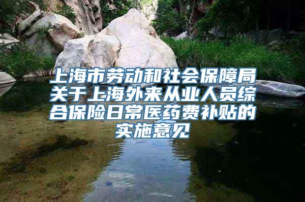 上海市劳动和社会保障局关于上海外来从业人员综合保险日常医药费补贴的实施意见