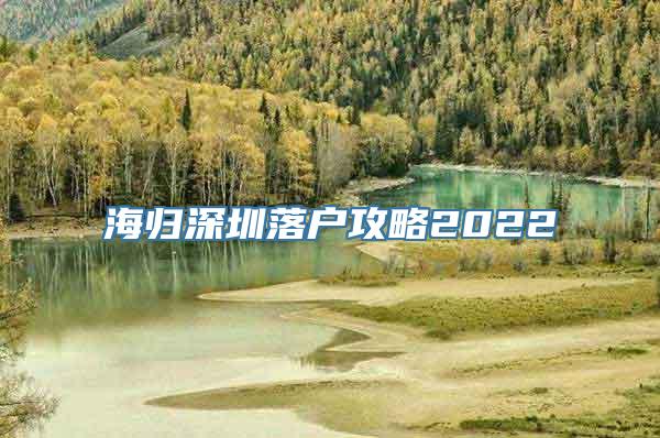 海归深圳落户攻略2022