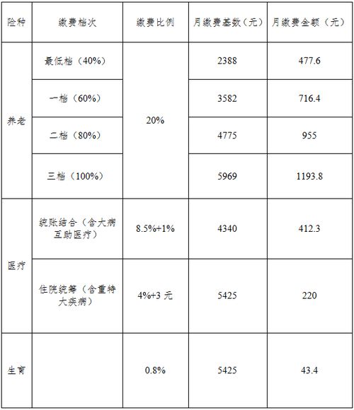 社保每个月要交多少钱 