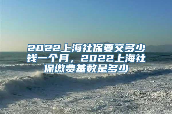 2022上海社保要交多少钱一个月，2022上海社保缴费基数是多少