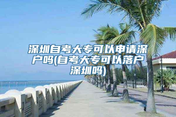 深圳自考大专可以申请深户吗(自考大专可以落户深圳吗)