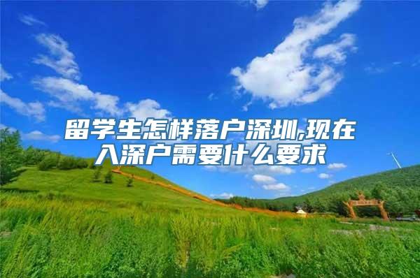 留学生怎样落户深圳,现在入深户需要什么要求