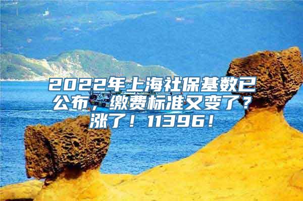 2022年上海社保基数已公布，缴费标准又变了？涨了！11396！