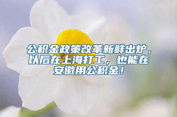 公积金政策改革新鲜出炉，以后在上海打工，也能在安徽用公积金！