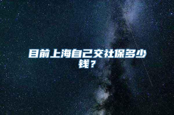 目前上海自己交社保多少钱？