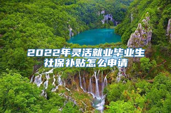 2022年灵活就业毕业生社保补贴怎么申请