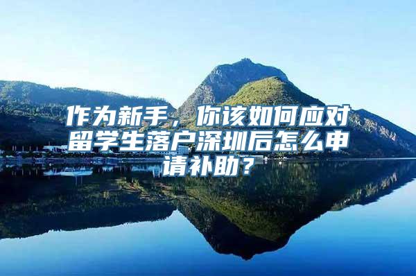 作为新手，你该如何应对留学生落户深圳后怎么申请补助？