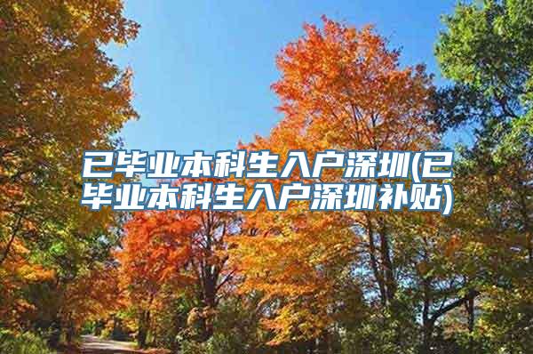 已毕业本科生入户深圳(已毕业本科生入户深圳补贴)