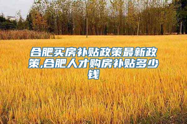 合肥买房补贴政策最新政策,合肥人才购房补贴多少钱