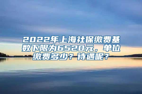 2022年上海社保缴费基数下限为6520元，单位缴费多少？待遇呢？