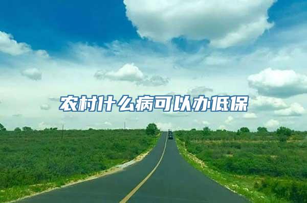 农村什么病可以办低保