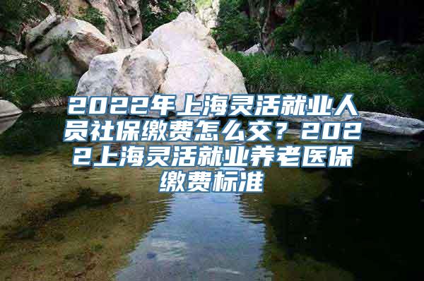 2022年上海灵活就业人员社保缴费怎么交？2022上海灵活就业养老医保缴费标准