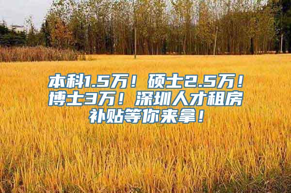 本科1.5万！硕士2.5万！博士3万！深圳人才租房补贴等你来拿！