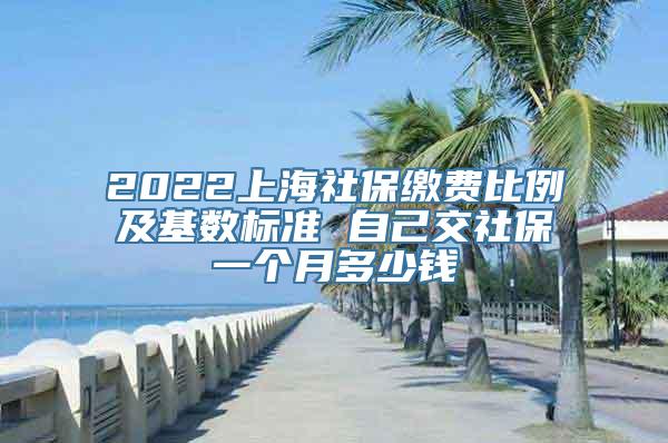 2022上海社保缴费比例及基数标准 自己交社保一个月多少钱